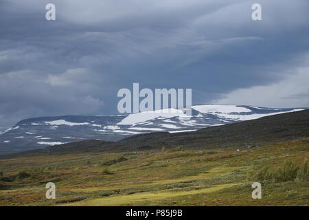 Am norwegischen Polarkreis mit Wolken Stockfoto