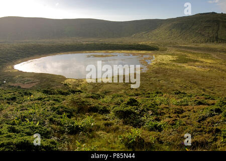 Landschap Azoren; Querformat Azoren Stockfoto