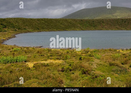 Landschap Azoren; Querformat Azoren Stockfoto