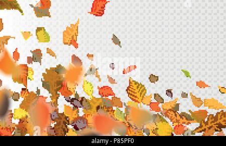 Vektor Illustration im Herbst fallenden Blätter auf Transparenten karierten Hintergrund. Herbstliches Laub fallen und pappel Blatt im Wind motion blur fliegen. Orange Design für Herbst Design. EPS 10. Stock Vektor