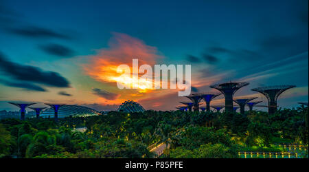 Ansicht des Supertree Grove und Wintergärten an Gärten durch die Bucht bei Sonnenaufgang im Stadt-staat Singapur Stockfoto