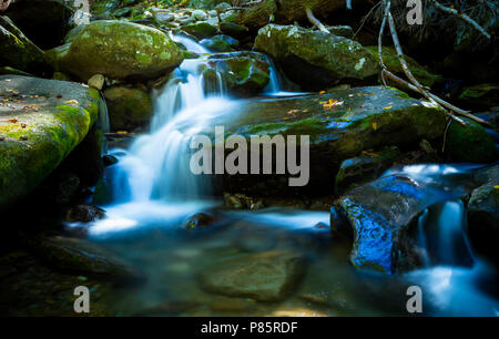 Wasserfall in den Smokey Mountains Stockfoto