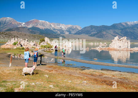 Der Mono Lake auffälligste Merkmal sind die unheimliche Tufa Towers - mineralischen Strukturen durch Süßwasserquellen, Blubbernden durch alkalische Gewässer erstellt. Stockfoto