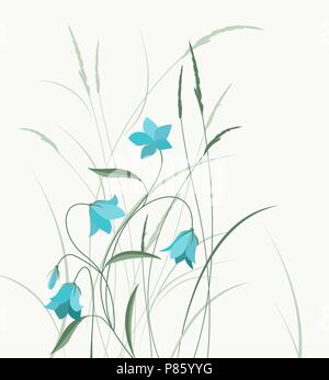 Vector Illustration blauen glockenförmigen Blüten im Gras. Sommer blumen Campanula Stock Vektor