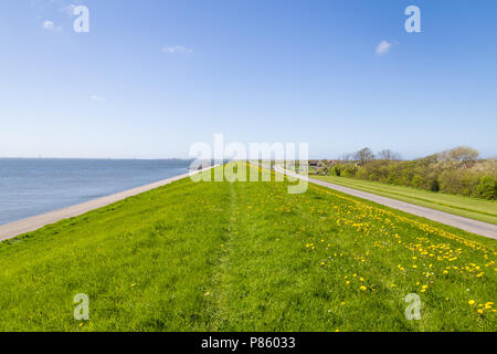 Die Deiche von Texel Niederlande Stockfoto