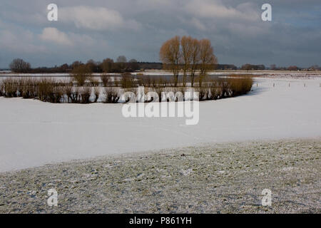 De IJssel in de Winter; die IJssel im Winter Stockfoto