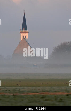 Kerkje van Den Hoorn Texel in ochtendlicht Nederland, Kirche von Den Hoorn auf Texel in Niederlande morninglight Stockfoto