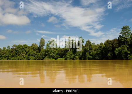 In Borneo; Kinabatang kinabatangrivier Fluss in Borneo Stockfoto