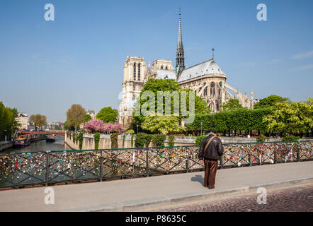 Eine lokale Pariser, die die Liebesschlösser auf einer Brücke über die seine mit Notre-Dame und Turm im Hintergrund sieht, Paris Stockfoto