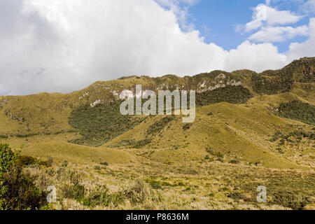 Papallacta Pass Ecuador Stockfoto