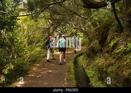 Menschen zu Fuß auf das Netz der Levadas - Wasserkanäle, die die Insel Madeira im Atlantischen Ozean überqueren Stockfoto