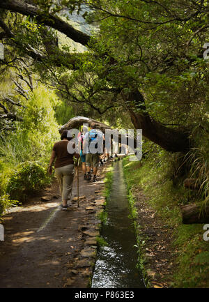 Menschen zu Fuß auf das Netz der Levadas - Wasserkanäle, die die Insel Madeira im Atlantischen Ozean überqueren Stockfoto