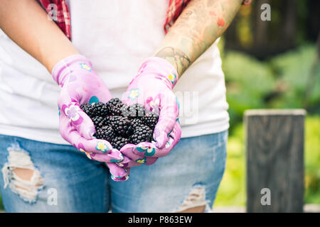 Junge Gärtner Frau mit Brombeeren in Händen im Garten. Stockfoto