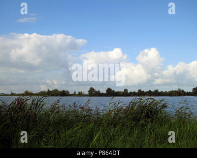 Reeuwijkse Plassen, Nederland / Niederlande Stockfoto