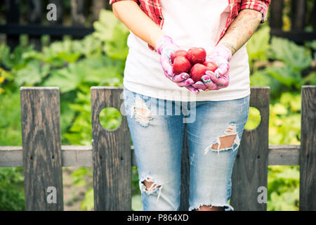 Weibliche Hände halten Seil rote Pflaumen im Garten. Lifestyle und Outdoor- Aktivitäten. Stockfoto