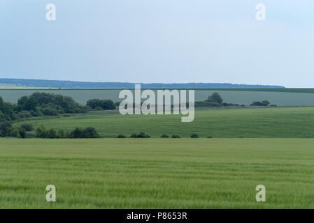 Frühjahr die landwirtschaftliche Landschaft, Georgios Tovtry Nationalpark, Podolien anbrachte Region der Ukraine Stockfoto