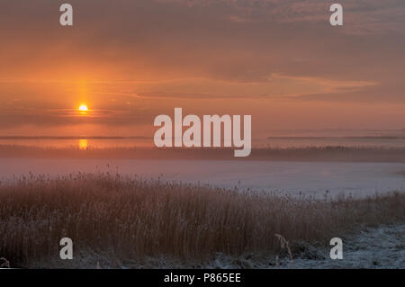 Zonsopgang Nevelige, Misty Sunrise Stockfoto