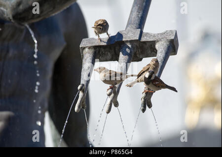 Flämische manieristischen Fontanna Neptuna (des Neptun Brunnen) und niederländischen Manierismus Dwor Artusa (Artushof) auf Dlugi Targ (Langen Markt) in der Stadt in hist Stockfoto