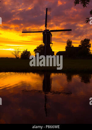 Windmolen in ondergaande Zon; Wind Mill im Abendlicht Stockfoto