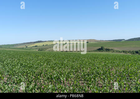 Frühjahr die landwirtschaftliche Landschaft, Georgios Tovtry Nationalpark, Podolien anbrachte Region der Ukraine Stockfoto