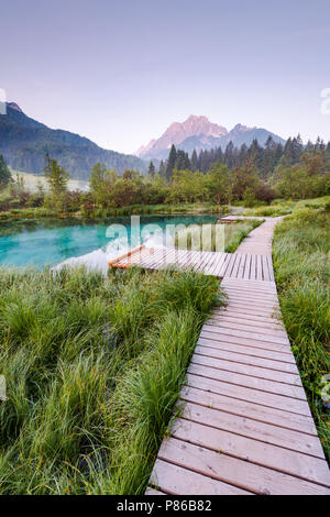 Hölzerne Brücke in Zelenci Parklandschaft, Slowenien. Stockfoto