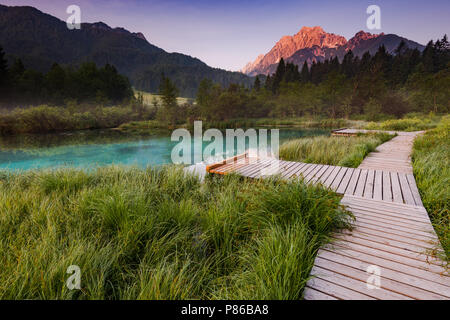 Sonnenaufgang in Zelenci Park, Slowenien. Stockfoto