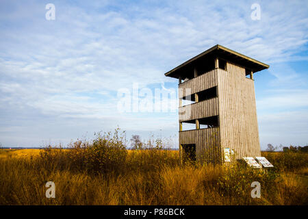 Hoogveen in Diepholz, Deutschland; Moorbecken in Diepholz, Deutschland Stockfoto