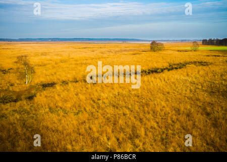 Hoogveen in Diepholz, Deutschland; Moorbecken in Diepholz, Deutschland Stockfoto