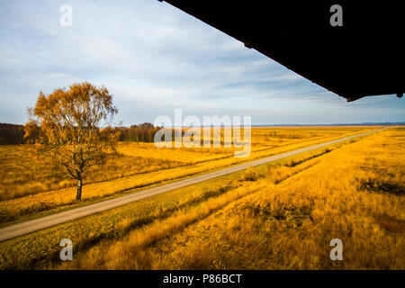 Hoogveen in Diepholz, Deutschland; Moorbecken in Diepholz, Deutschland Stockfoto