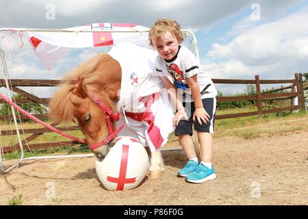 5 Jahre alten Jungen und seine Shetland pony in England Fußball-Kit gekleidet, Großbritannien Stockfoto