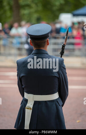 Menschenmassen versammeln sich entlang der Mall zu helfen feiern das 100-jährige Jubiläum der Royal Air Force (RAF). Die Massen beobachten der Royal Air Force Parade durch den Flypast über den Buckingham Palace in London folgte. Stockfoto