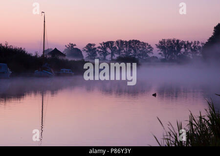 Overijsselse vecht in de vroege Ochtend; Overijsselse vecht im frühen Morgen Stockfoto