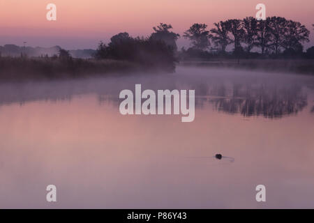 Overijsselse vecht in de vroege Ochtend; Overijsselse vecht im frühen Morgen Stockfoto