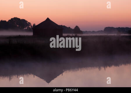 Overijsselse vecht in de vroege Ochtend; Overijsselse vecht im frühen Morgen Stockfoto