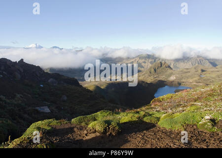 Papallacta Pass Ecuador Stockfoto