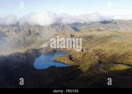 Papallacta Pass Ecuador Stockfoto