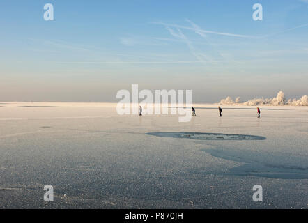 Winter landschap Oostvaardersplassen met schaatsers; Winter Landschaft Oostvaardersplassen mit Skaten Leute Stockfoto