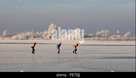 Winter landschap Oostvaardersplassen met schaatsers; Winter Landschaft Oostvaardersplassen mit Skaten Leute Stockfoto