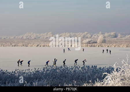 Winter landschap Oostvaardersplassen met schaatsers; Winter Landschaft Oostvaardersplassen mit Skaten Leute Stockfoto