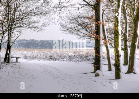 Sneeuw Planken Wambuis Stockfoto