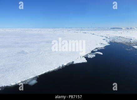 Pakijs, Spitzbergen, Packeis, Svalbard Stockfoto