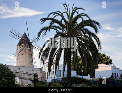 Windmühlen beherrschen die hohe Gelände von El Jonquet über dem Yachthafen in Palma de Mallorca, Balearen, Spanien. Stockfoto