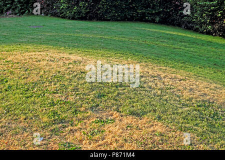 Hitzewelle im Sommer 2018 in Carmarthenshire Wales UK KATHY DEWITT Geröstete Stockfoto