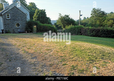 Rasen außerhalb eines ländlichen Heimat Geröstete während der 2018 Sommerhitze in Carmarthenshire Wales UK KATHY DEWITT Stockfoto