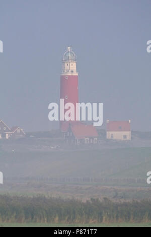 Vuurtoren Eierland op het Eiland Texel Nederland Wattenmeer, Leuchtturm Eierland auf der Insel Texel Niederlande Stockfoto