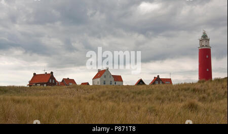 Vuurtoren Eierland op het Eiland Texel Nederland Wattenmeer, Leuchtturm Eierland auf der Insel Texel Niederlande Stockfoto