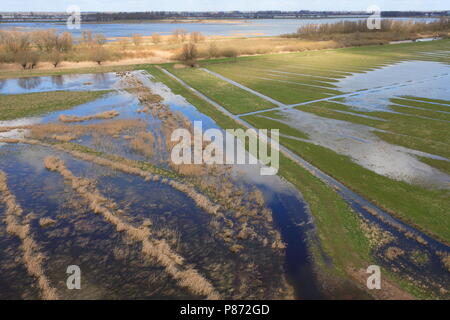 Luftaufnahme auf der Biesbosch, de Biesbosch vanuit de Lucht Stockfoto