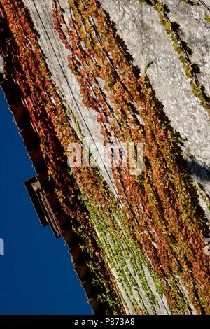 Varen, Tarn-et-Garonne, Royal, Frankreich Stockfoto