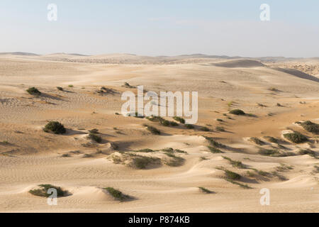 Landschaft der zentralen Wüste von Oman Stockfoto