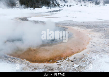 Warmwaterbron im Yellowstone National Park; Hot Spring im Yellowstone National Park Stockfoto